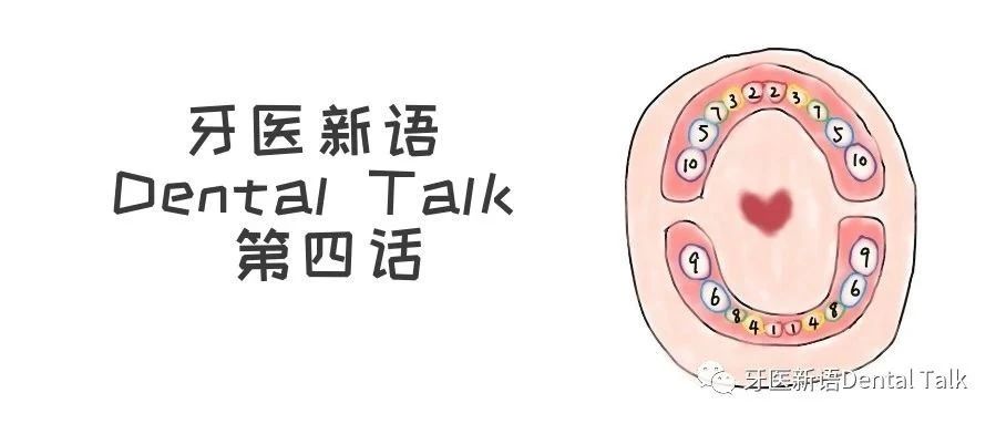 掐指一算，就知道什么时候长出一颗牙 –  「牙医新语Dental Talk」第四话