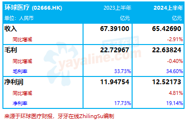 环球医疗：2024上半年收入减2.9%至65亿，净利润同比增4.8%｜医疗服务企业.财务数据