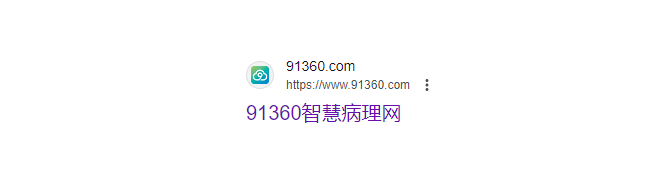 91360智慧病理网，完成新一轮融资，加速病理AI技术创新、市场拓展