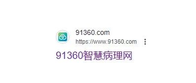 91360智慧病理网，完成新一轮融资，加速病理AI技术创新、市场拓展